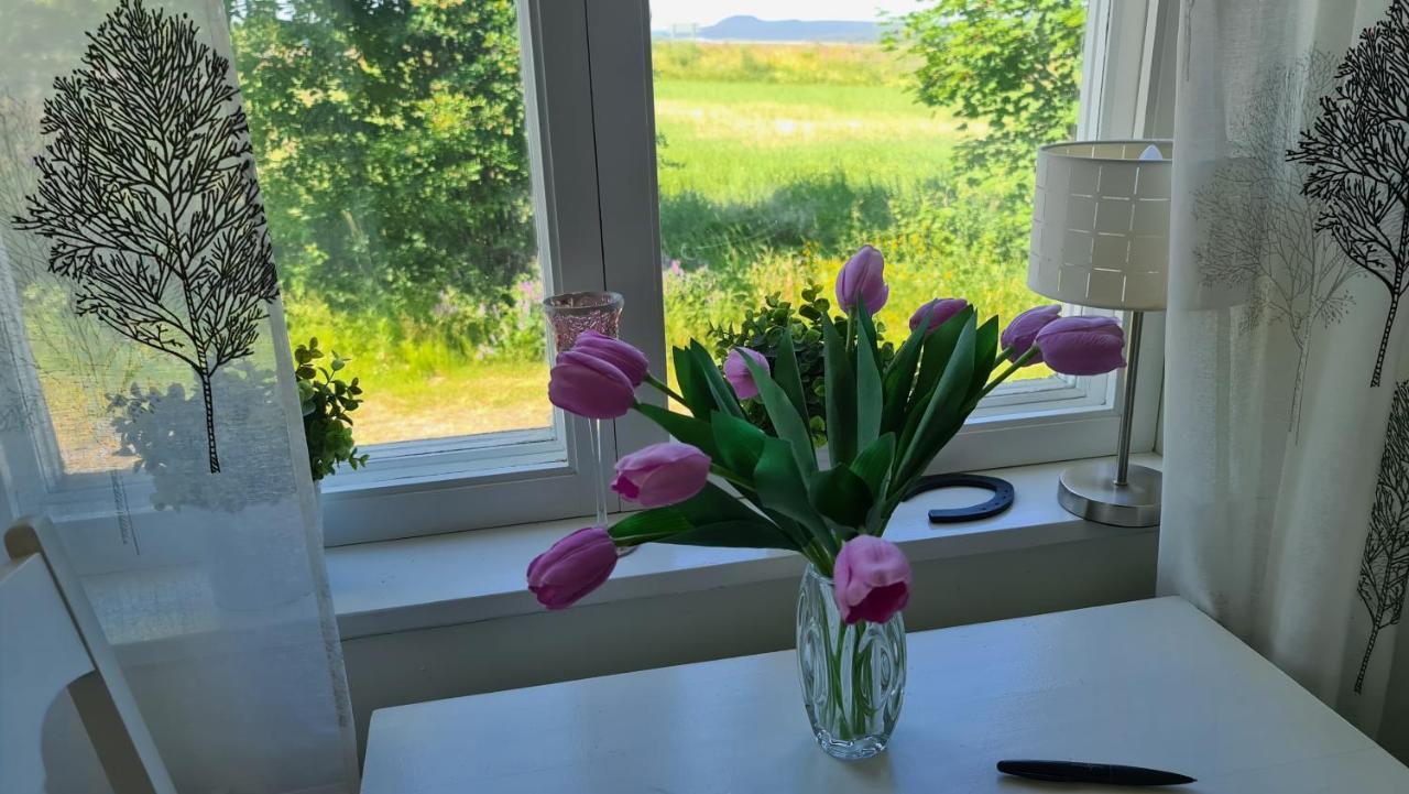 Symaskinshuset Jaervsoe Екстер'єр фото